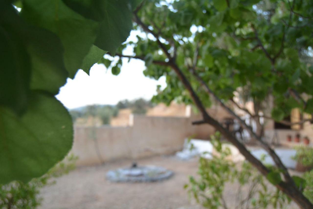 Our Villa'S Private Apartments - Hq Budget Stay - Wonderful Horizon View Of Jerash Jarash Extérieur photo